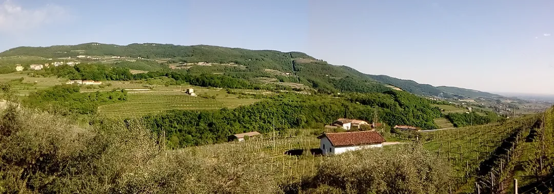 Panorama delle colline sopra Negrar viste dalla frazione di Torbe