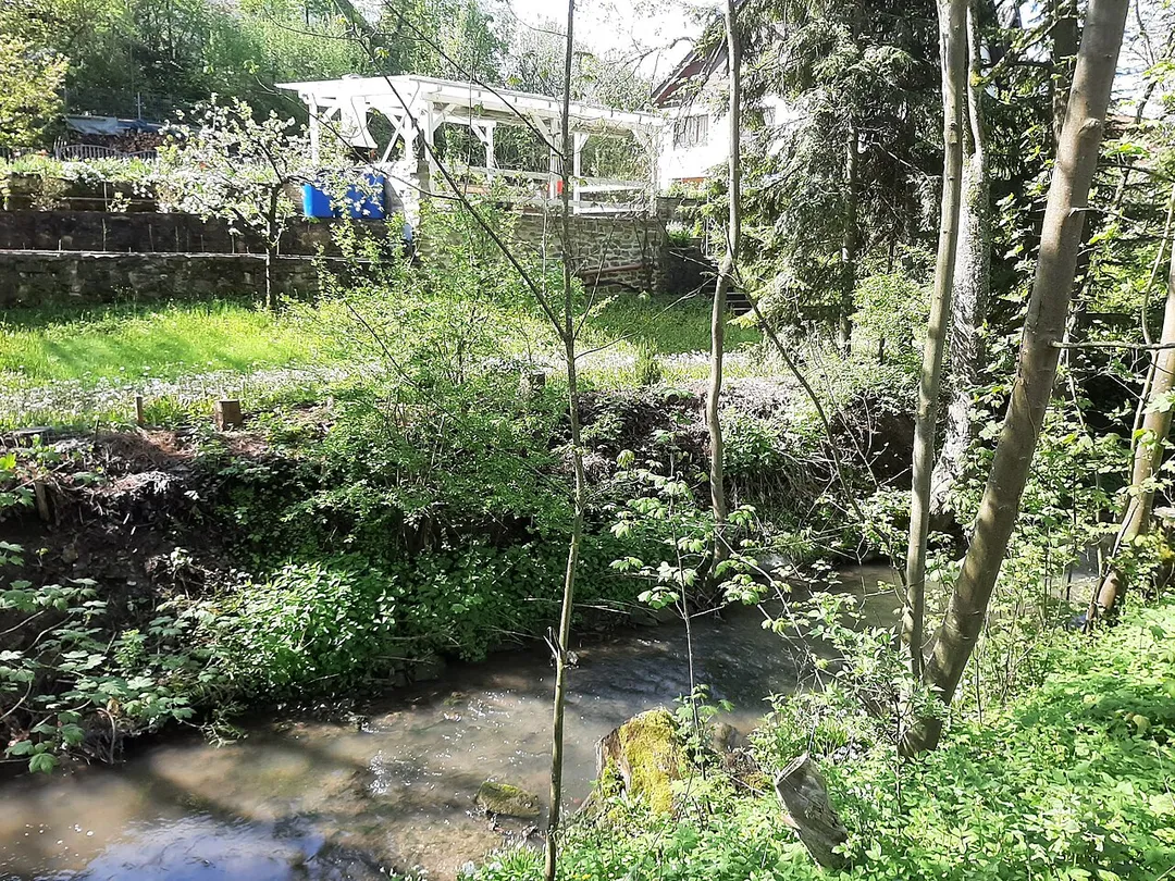 Brook Epbach, Neuenstein, Germany 202105