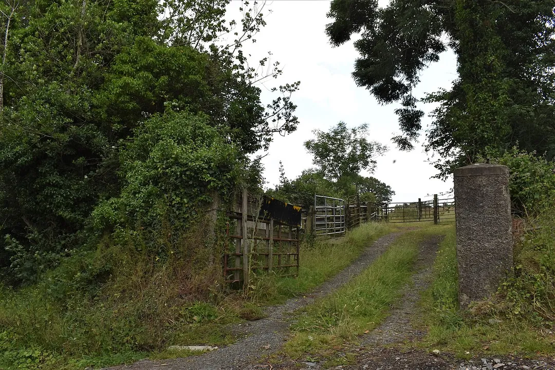 Field gateway near Newtownmountkennedy