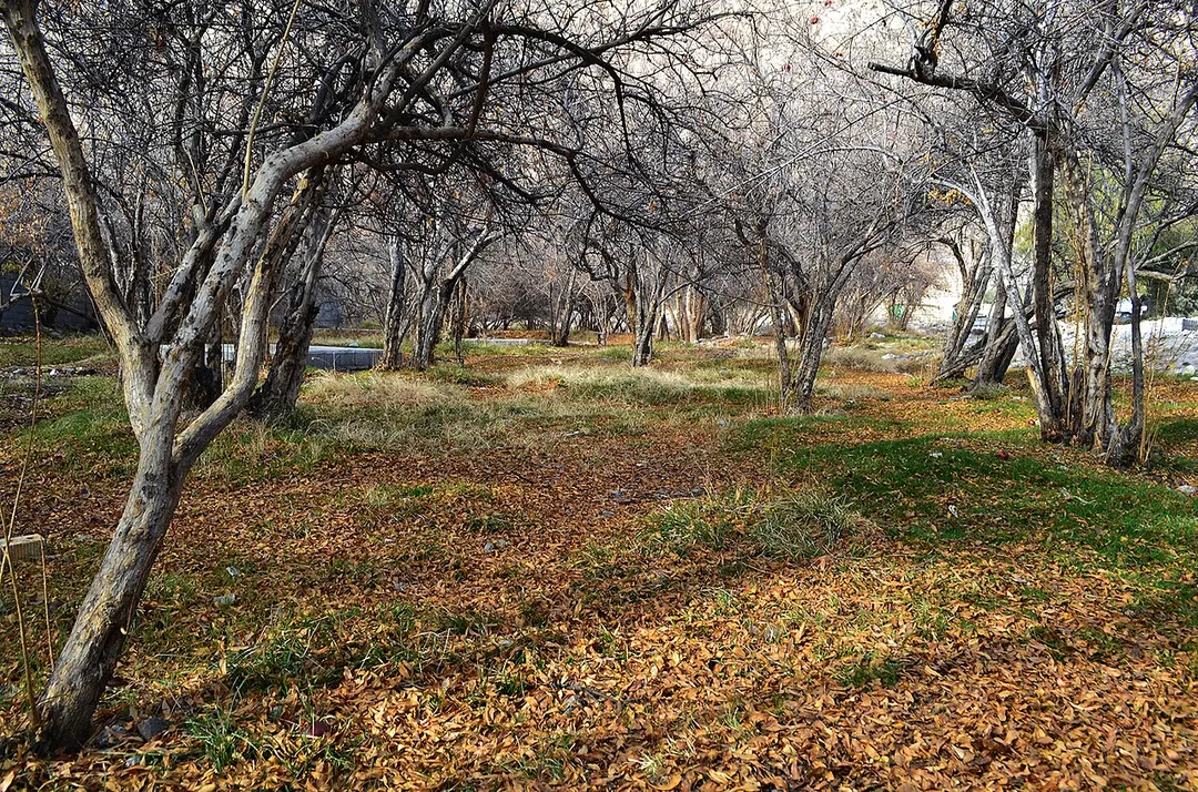 Neiriz Nature, Pomegranate Gardens