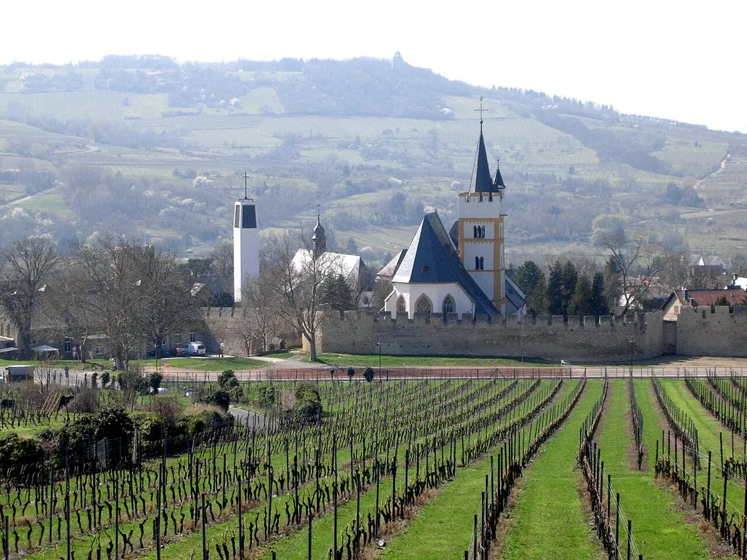 Blick vom Nordteil des Mainzer Berges bei Ingelheim nach Ober-Ingelheim mit Burgkirche und St. Michael sowie zum Nordende des Westerberges mit dortigem Bismarckturm