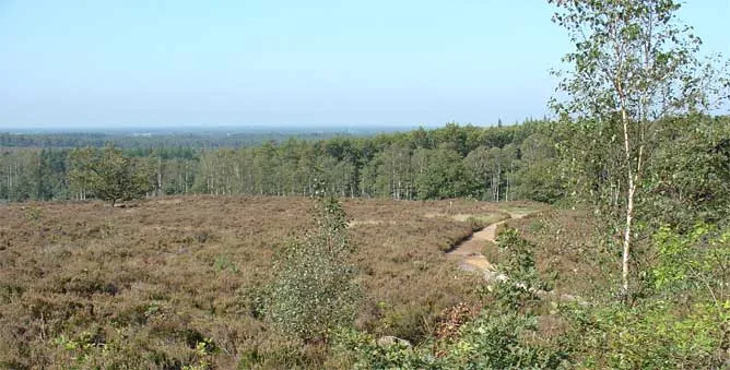 Sallandse Heuvelrug (omgeving Nijverdal)