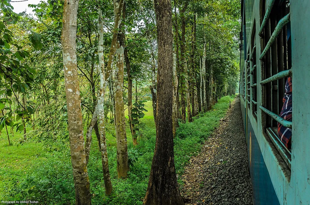A view from Nilambur - Shoranur railway
