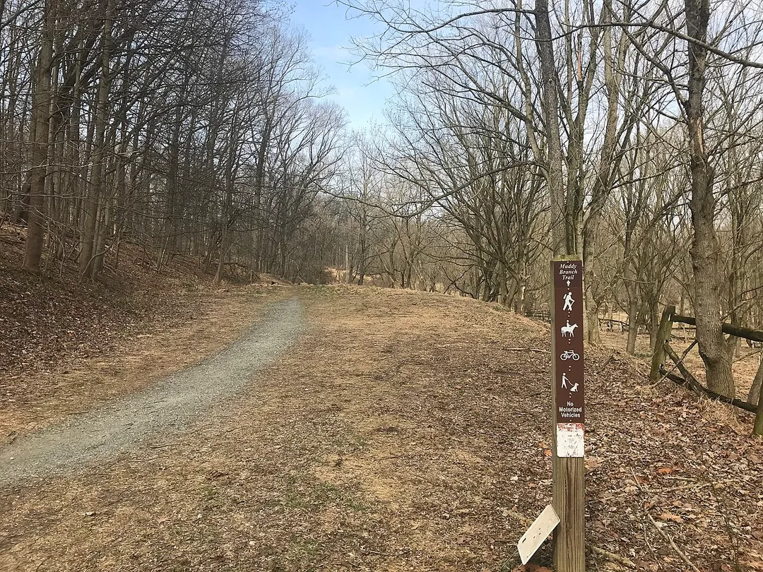 View of Muddy Branch Trail where it crosses Quince Orchard Road in North Potomac, Maryland, USA.