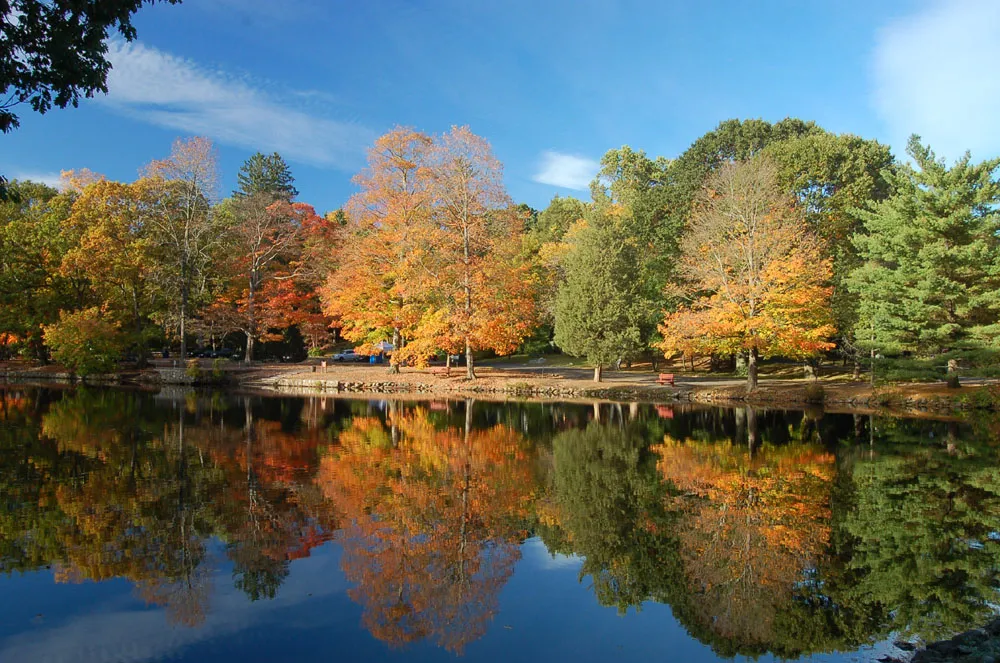 Bendel Pond/Laurel lake at the SM&amp;NC