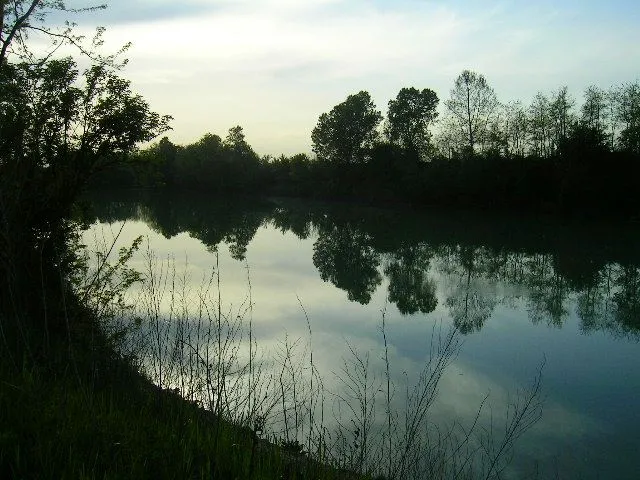 Foto scattata da me medesimo il 27.04.2006 a Noventa di Piave (VE). Fiume Piave, vista verso S.