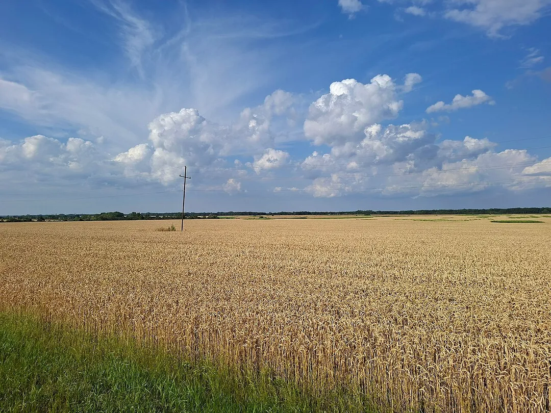 General view of the battlefield where the Battle of Bziyiqo (1796) took place, located near Novodmitriyevskaya, Seversky District, Krasnodar Krai.