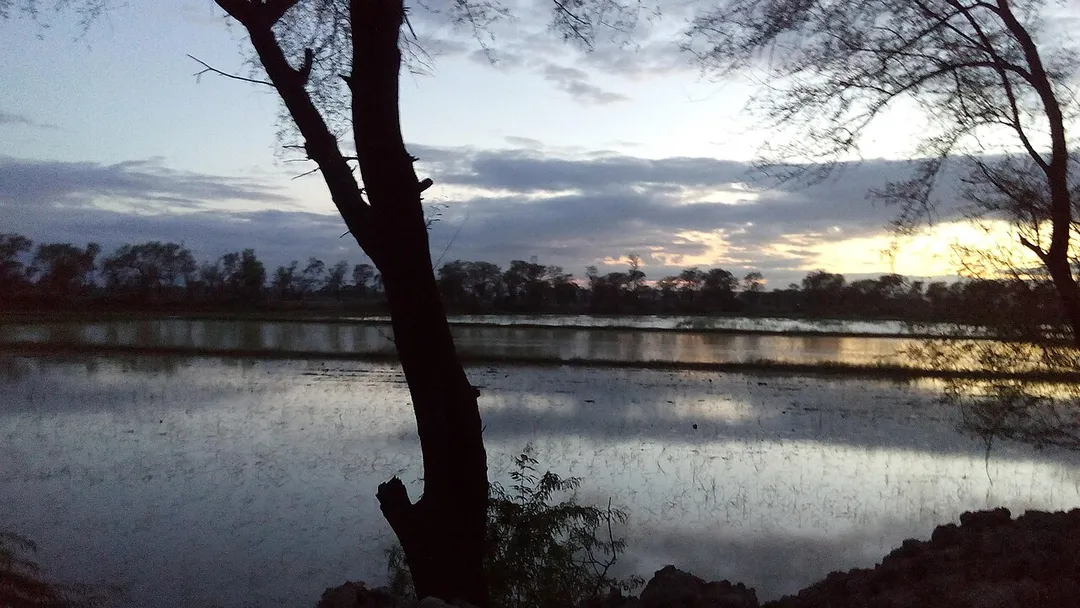 water view