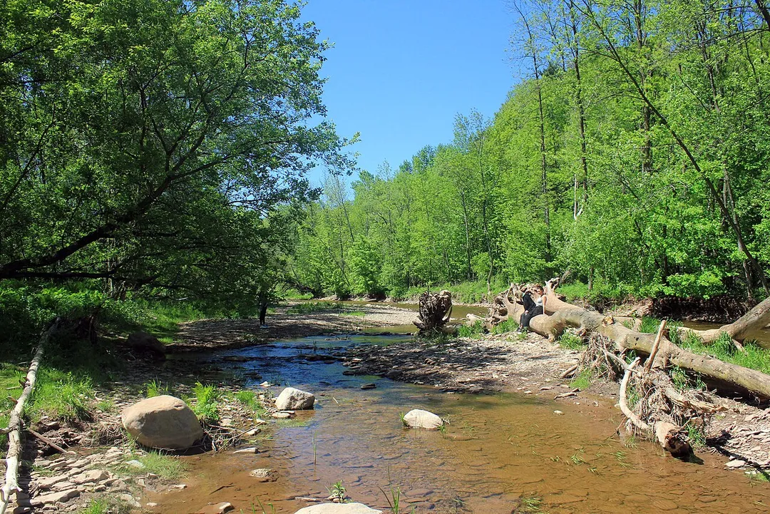 Bronte Creek Provincial Park is a fairly large park near Oakville, Ontario. Named for the 12-mile creek that flows through the park into Lake Ontario, the Park
Scenery Photo of the creek