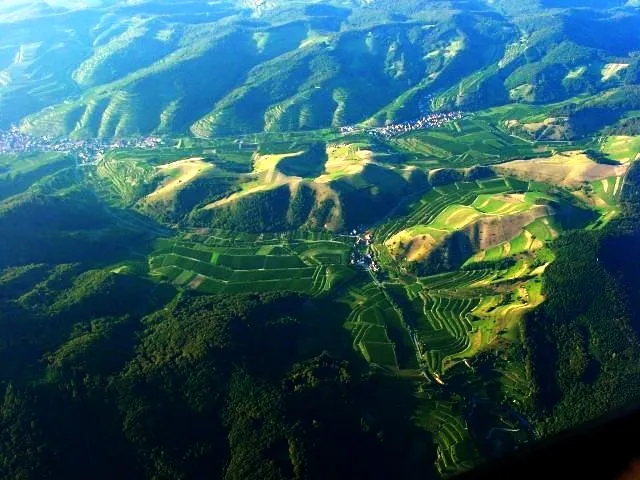 The Kaiserstuhl near Oberrotweil, Southern Germany near Freiburg im Breisgau.