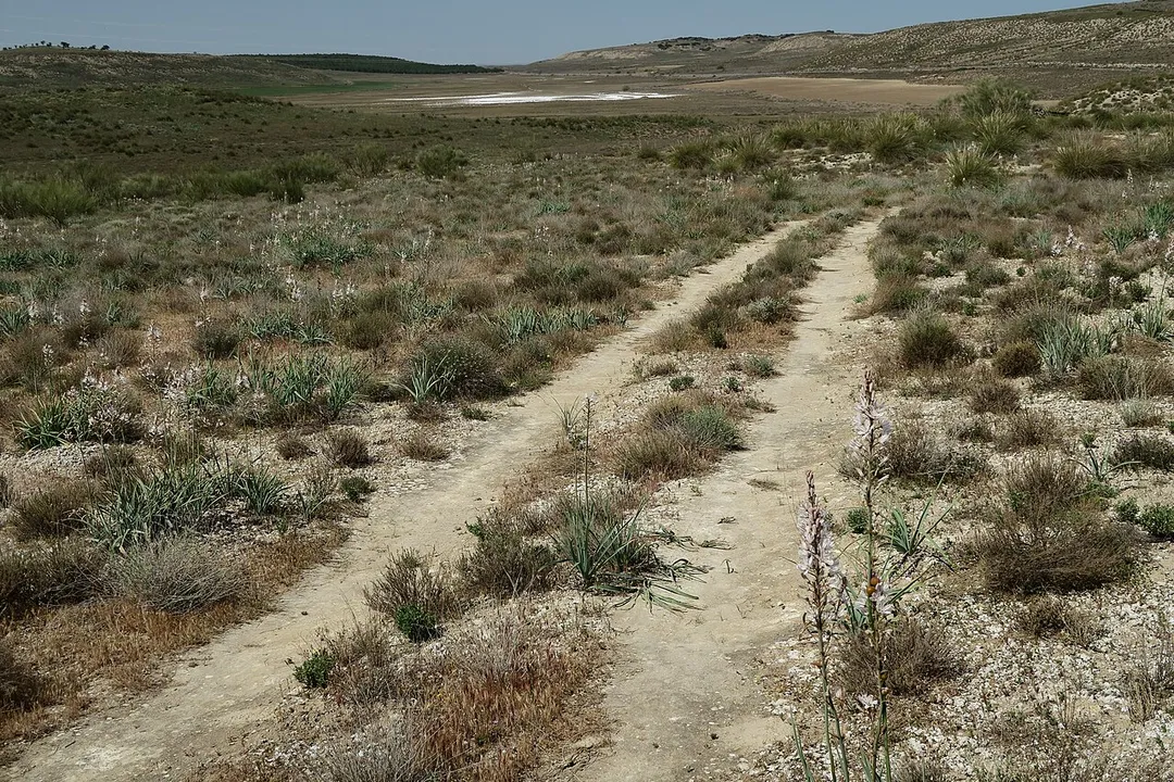 Salobral de Ocaña, camino
