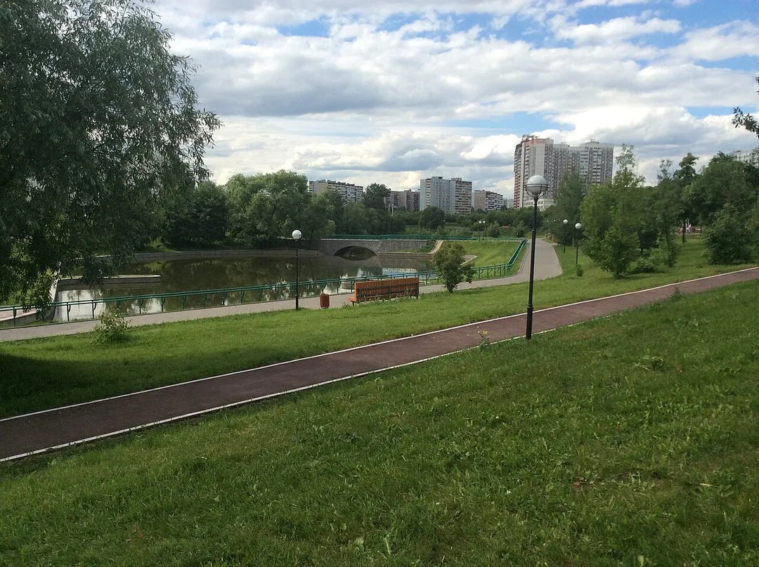 Никулинский пруд. Южный конец.