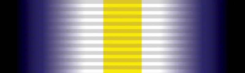 Ribbon of the Australian Intelligence Medal