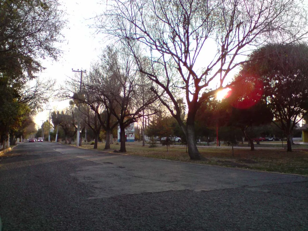 Boulevard Ojo de Agua Winter View