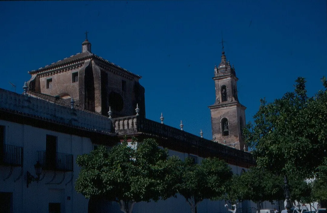 Photo of Olivares