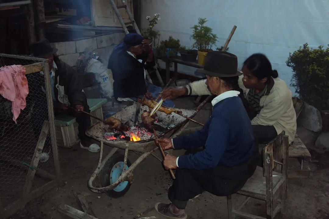 Indígenas del pueblo Kichwa Otavalo, asando cuyes al carbón para los invitados a la fiesta Indígena de Primera Comunión de una joven Kichwa en Otavalo, provincia de Imbabura, Ecuador.