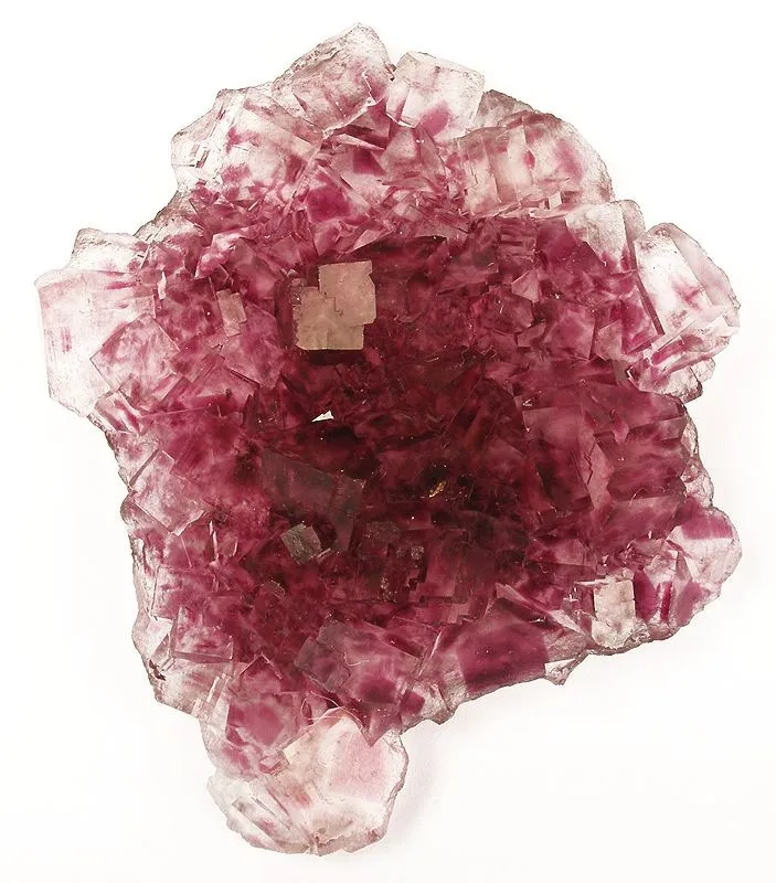 Fluorite
Locality: Okorusu Mine (Okarusu Mine), Otjiwarongo District, Otjozondjupa Region, Namibia (Locality at mindat.org)
Size: 6.4 x 6.0 x 1.1 cm.
This thin plate of lustrous and translucent, intergrown fluorite is highlighted by crystals that have a rich lavender color interspersed with colorless areas. Crystal size reaches .7 cm across. Exceptionally gemmy and translucent.