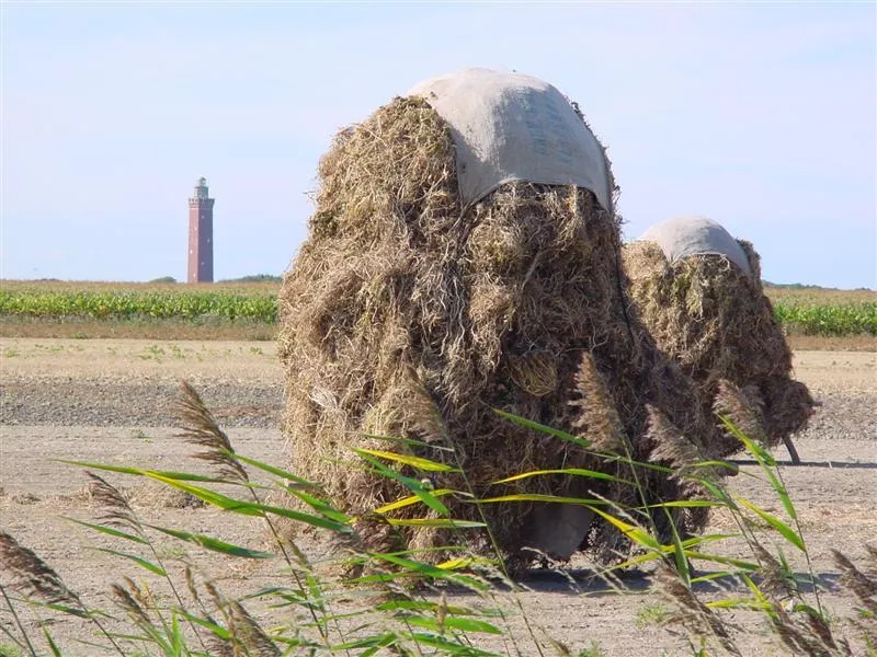 Typical landscape in Ouddorp, The Netherlands, with the lighthouse and "ruiters".