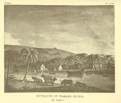 Photo of Padang