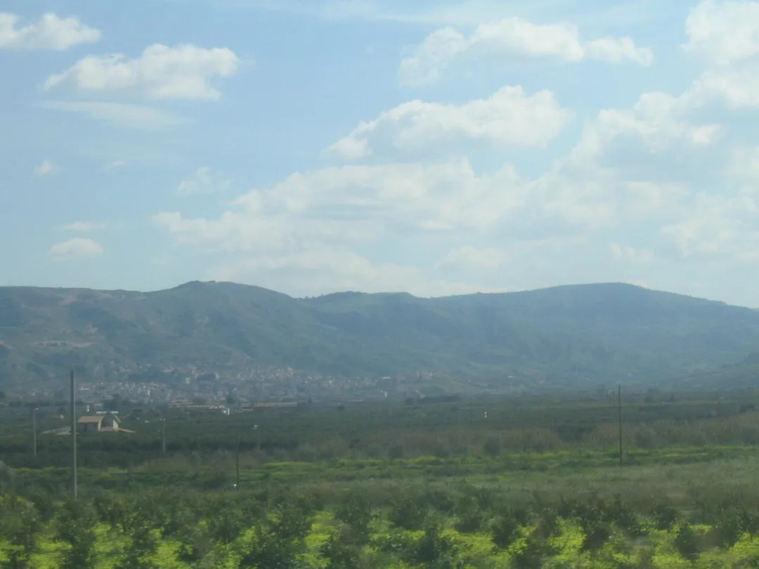 Photo of Palagonia