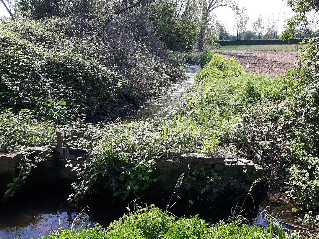Roggia "Riale" di Parabiago