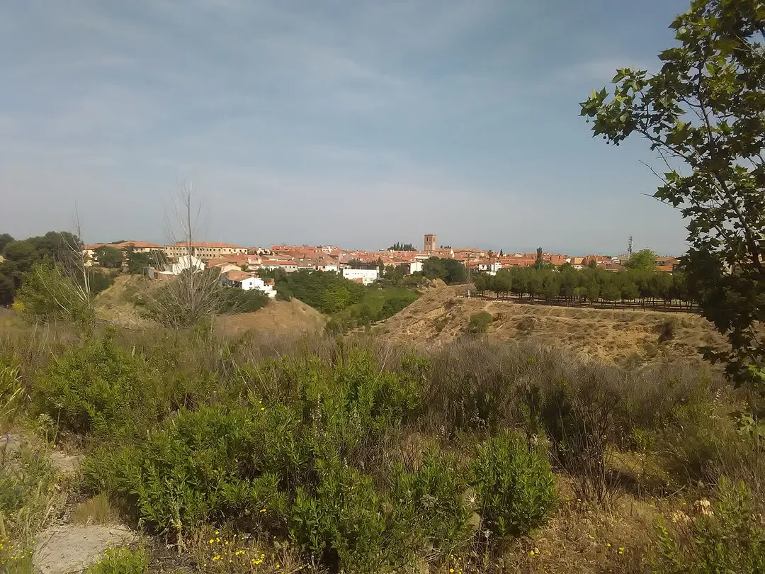 Paracuellos de Jarama from the south (27/5/2017).