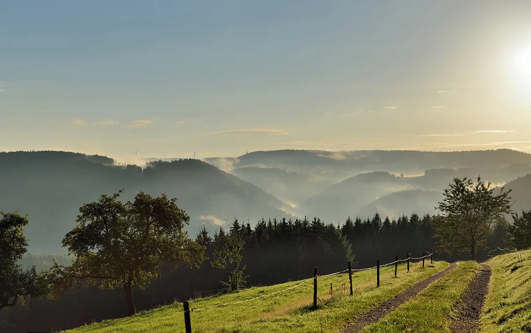 Schonach, Black Forest: sunrise and morning haze.