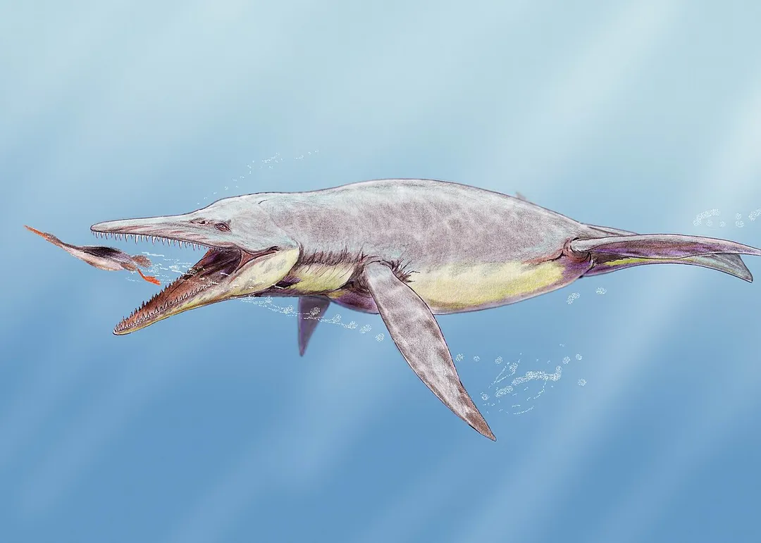 Brachauchenius lucasi perusing a generic hesperornithiform bird.