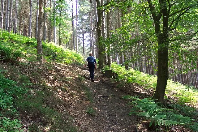 Path through the Hurt Wood. Climbing up from Gasson Farm to the Radnor Road