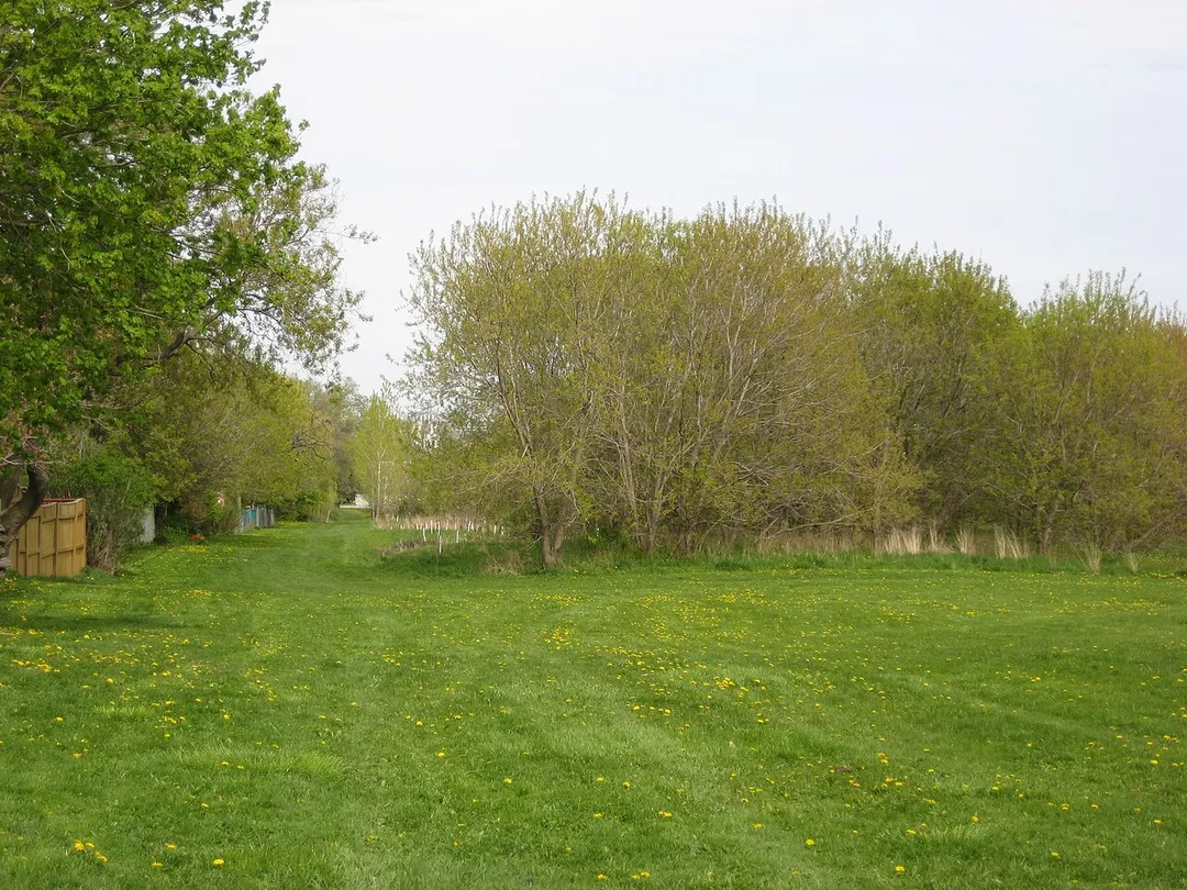 w:Pine Point Park