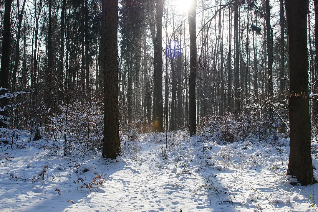 Nähe Pentling