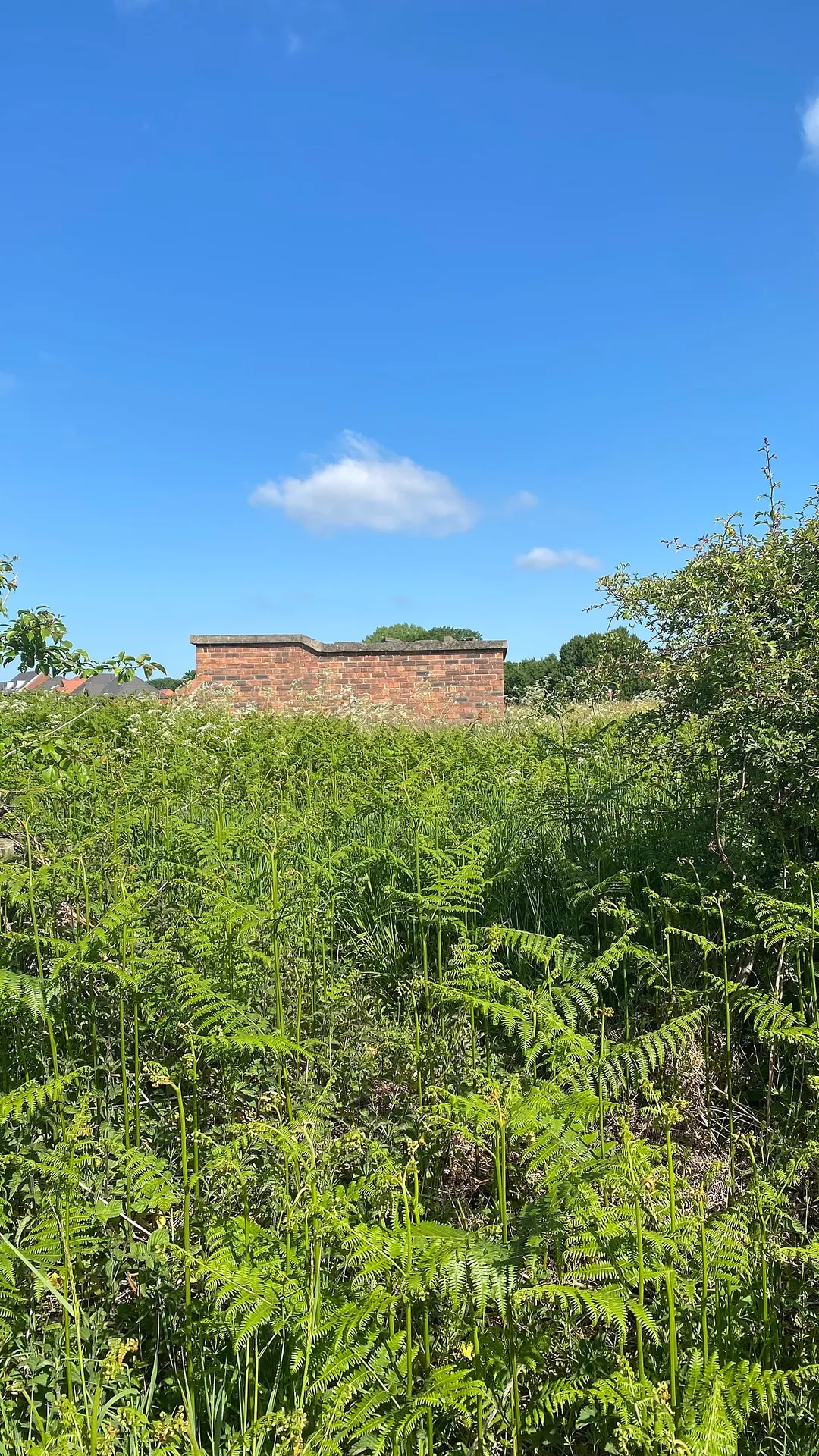 Penyffordd ROC post remains