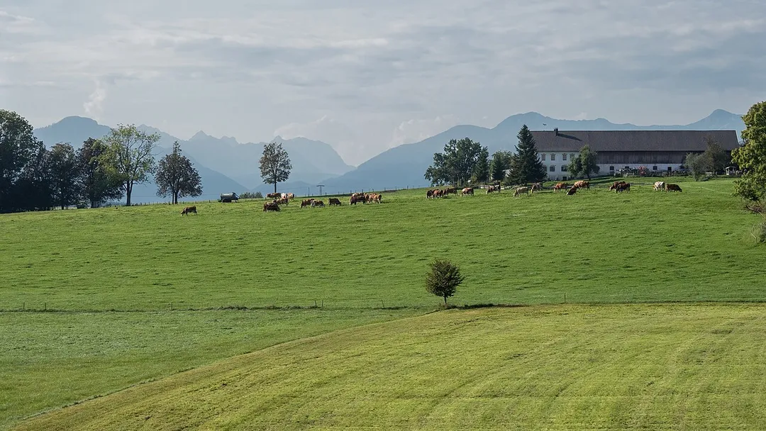 Penzberg-Oberhof