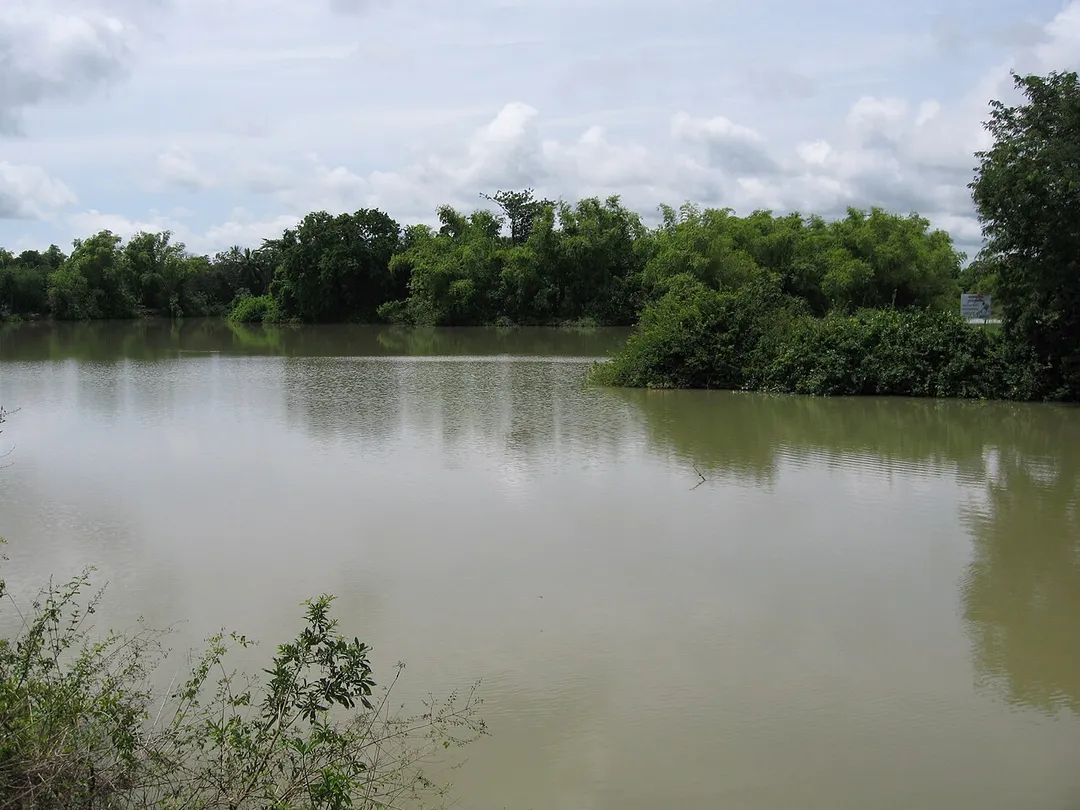 Small Lake in Serei​ Saophoan District, Banteay_Meanchey, Cambodia(មណ្ឌលអភិរក្សត្រីក្នុងស្ទឺងសិរីសោភ័ណស្រុកសិរីសោភ័ណ ខេត្តបន្ទាយមានជ័យ)