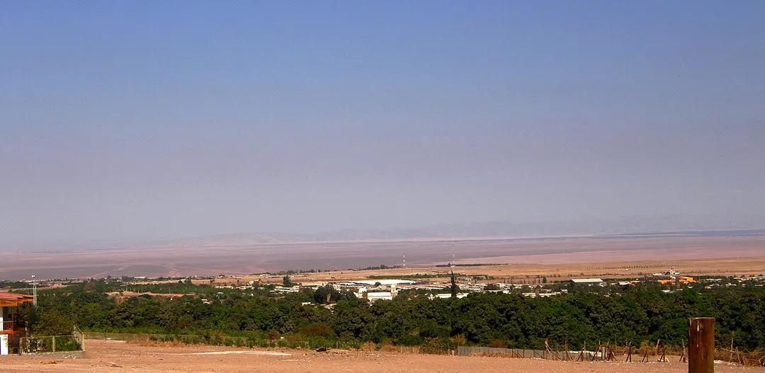 Panoramic view of the oasis of Pica, Pica municipality, Tamarugal province, Tarapacá region, Chile
