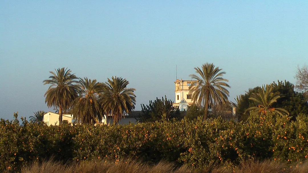 Villa behind orange and date palm trees.
Location: Picassent, Valencia, the Valencian Community—"Land of Valencia", eastern Spain.