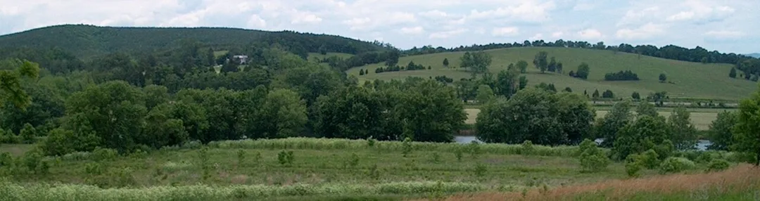 Piedmont at the border of Nelson County and Buckingham County at James River State Park.
© 2005 Wyatt Greene