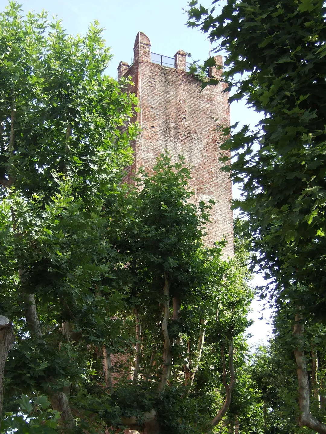 Tower of the ancient Castle (ruined) of Piobesi Torinese (Italy)