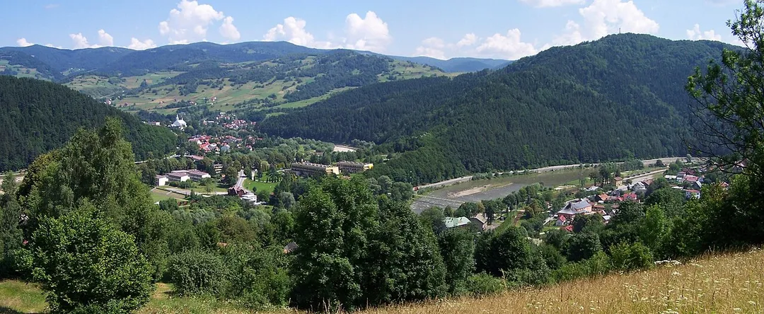 Piwniczna-Zdrój, widok ogólny. Z prawej strony góra Kicarz