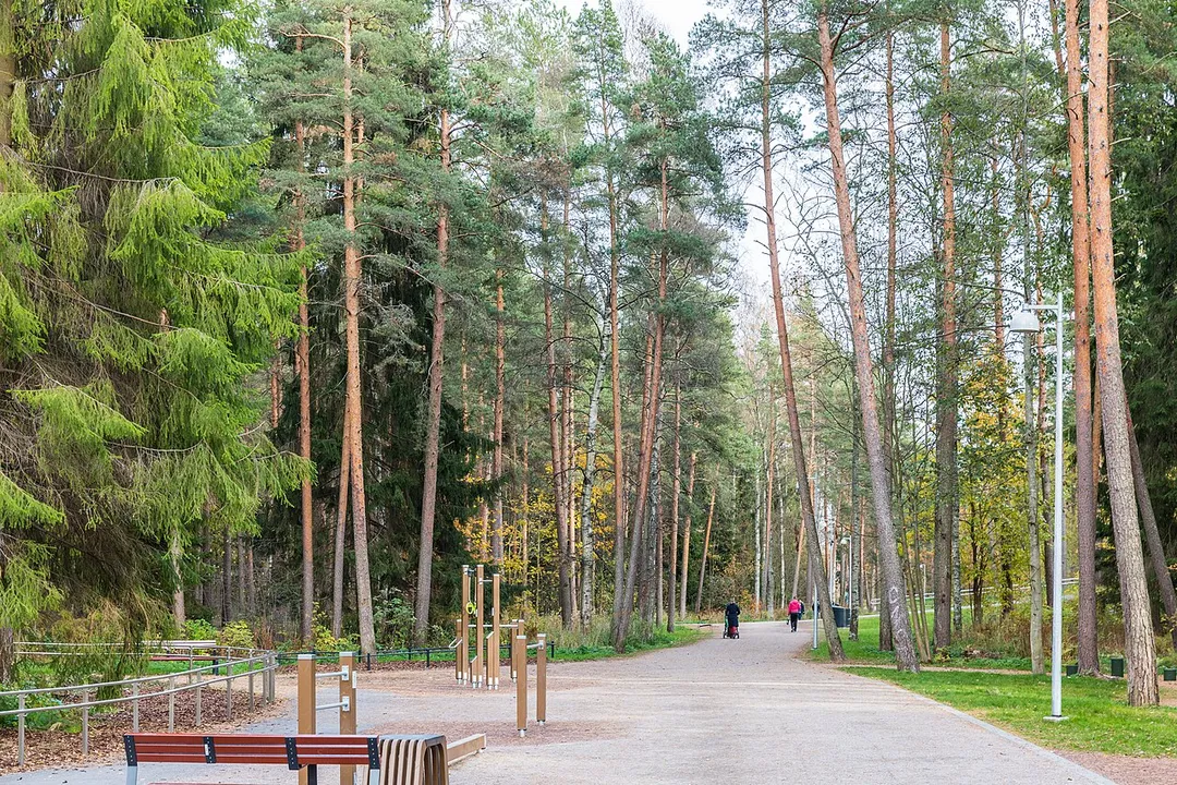 Runar Schildt Park