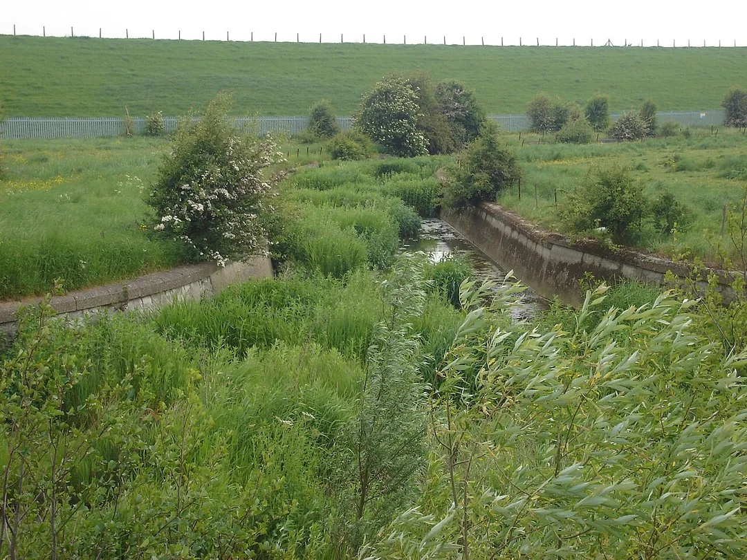 South Marsh, Ponders End. The grassed embankment of the King George V reservoir can be seen in the background