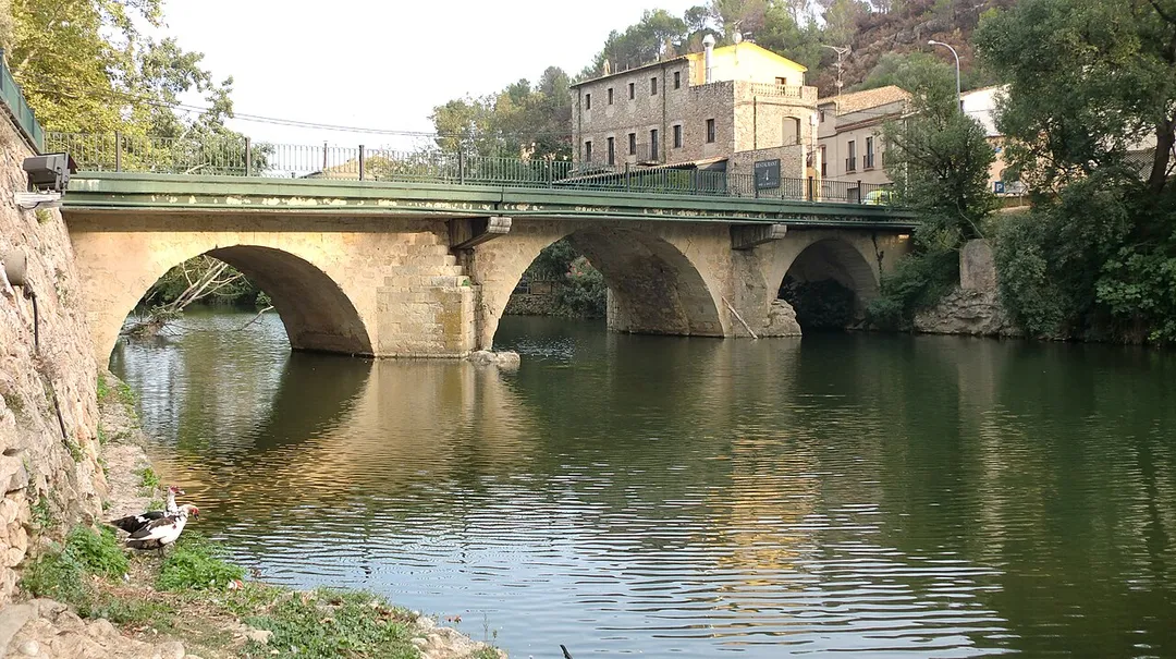 Pont Vell (Pont de Molins)