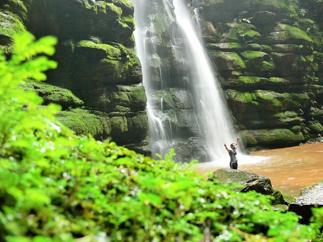 That enviroment show us more impressive each passe for waterfall. And when you see the  waterfall you believe that you have found the missing link