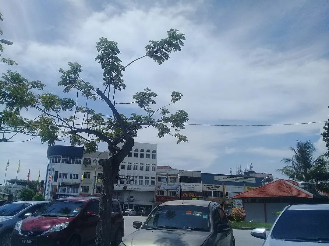 Port Dickson: Pusat bandar Port Dickson.