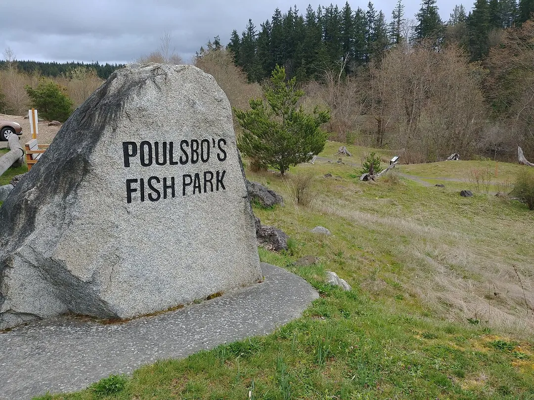 Boulder at south entrance to Poulsbo's Fish Park. Photo shows a grassy lawn with a large gray boulder in which is etched the words "POULSBO'S FISH PARK". A hill with scraggly grass and a rough trail slopes down to the right where there are some leafless deciduous trees and beyond them, some evergreens.