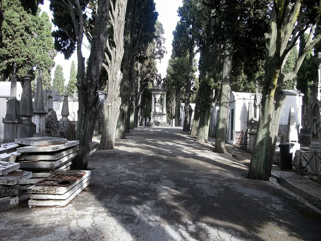 Lisbon