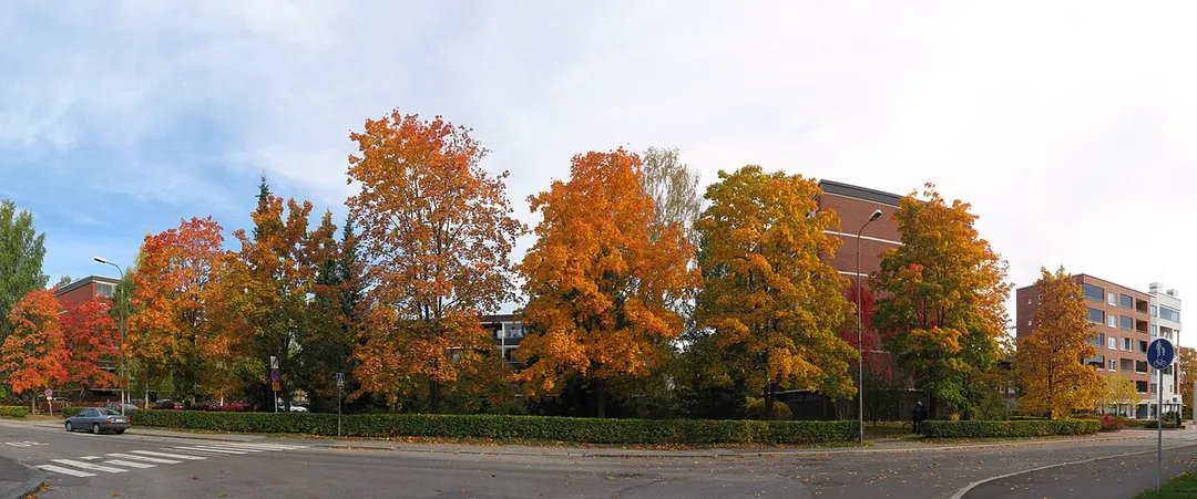 Panoramic autumn view of Yrjönkatu from Opistonkuja in Puistola, Jyväskylä. Eskilstuna square barely visible on rightmost corner.