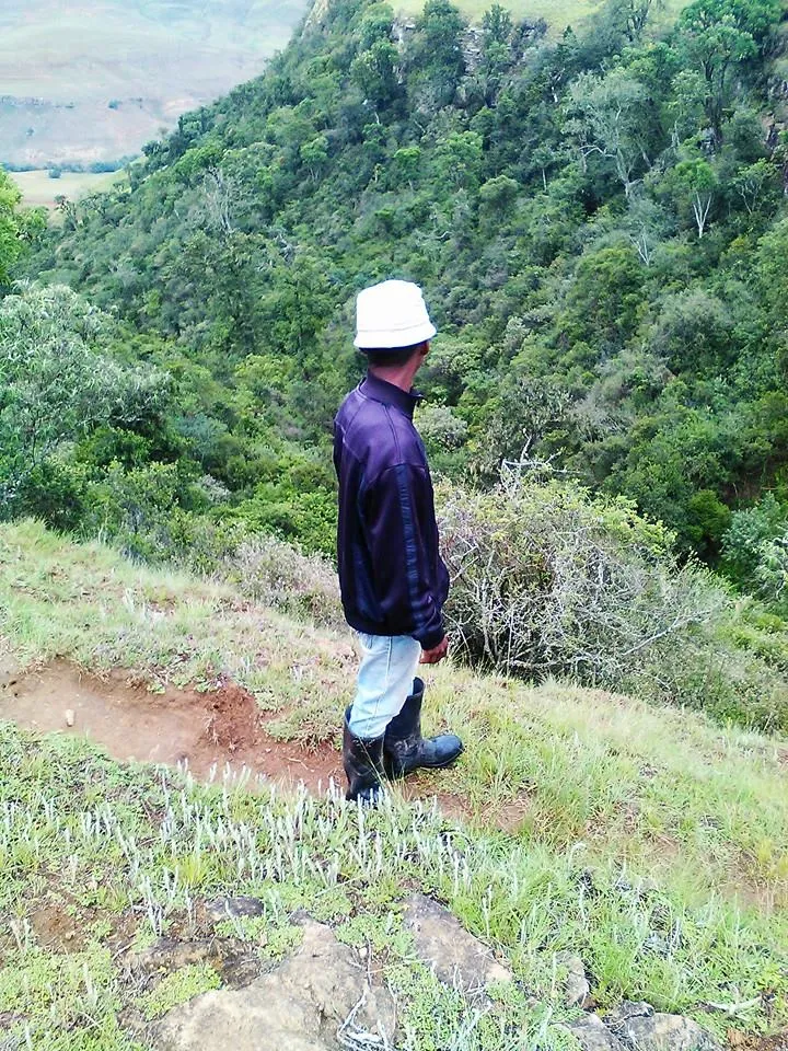 A local natural forest in Qumbu, where women and children used to hide to back in those days of umfela ndawonye wabafuyi, a self-proffesed anti-stock association and a group know as Amampondomise Thieves Unit.