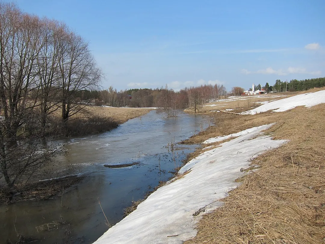 Raisionjoki is a river in Finland Proper. Its origins are in Rusko, and it flows through Raisio and Turku to the Archipelago Sea.