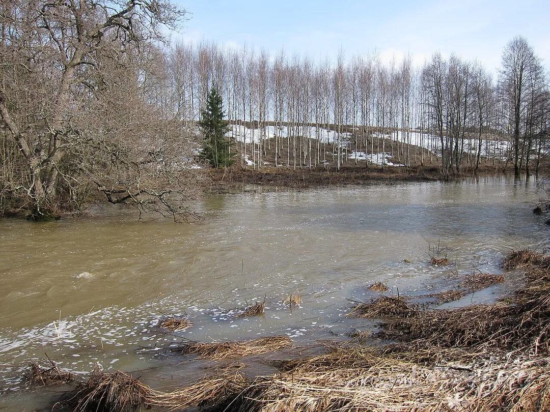 Raisionjoki is a river in Finland Proper. Its origins are in Rusko, and it flows through Raisio and Turku to the Archipelago Sea.